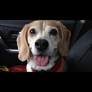 Welcome to my closet!  -Angela